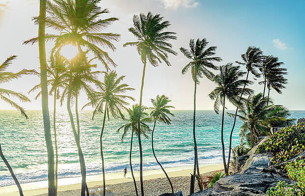 Caribbean Wall Art featuring the digital art Caribbean, Barbados, Saint Philip, Antilles, Lesser Antilles, Windward Islands, Caribbean Sea, A Man Walks On The Shoreline Of Bottom Bay Beach At Dawn. by Marco Arduino