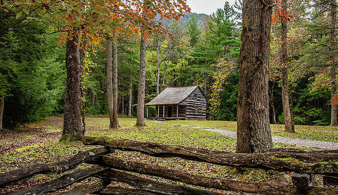Cade Cove Photograph - Carter Shields Autumn by Marcy Wielfaert