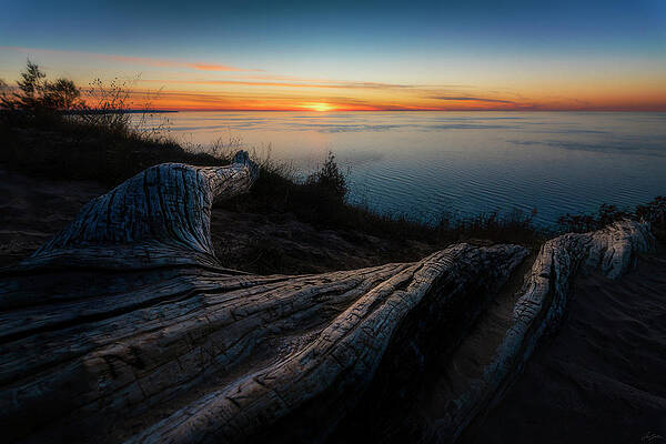 Tree Wall Art featuring the photograph Carved Log by Owen Weber