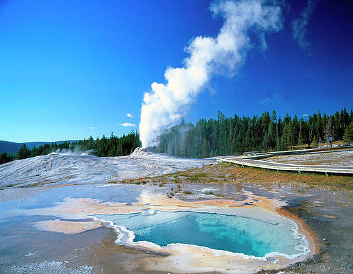 National Parks Wall Art featuring the digital art Castle Geyser, Yellowstone Np, Wy by Studio City