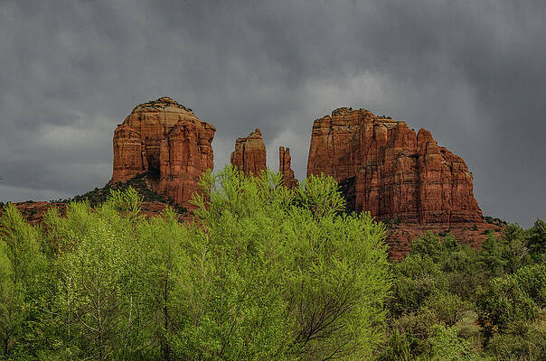 Arizona Photograph - Cathedral Rock And Cottonwoods by Douglas Wielfaert