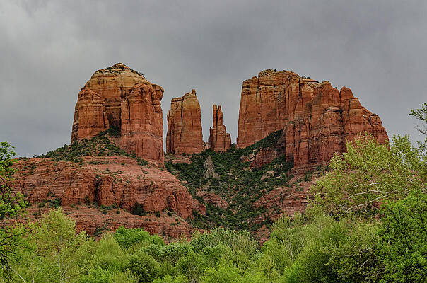 Arizona Photograph - Cathedral Rock With Spring Foliage by Douglas Wielfaert