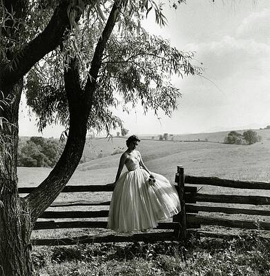 Wall Art featuring the photograph Catherine Mellon Sitting On A Fence By A Meadow by Toni Frissell