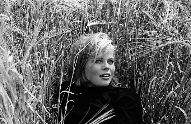 Sexy Wall Art featuring the photograph Cathy by Jeremy Holton