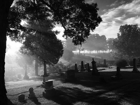 Cemetery, Sunlight, and Fog by Michael Boehl