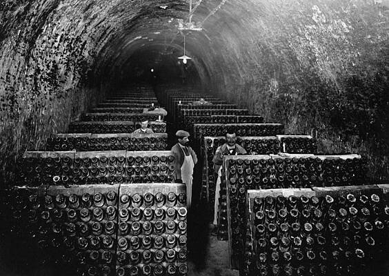 Exploring a Historic Wine Cellar Wall Art