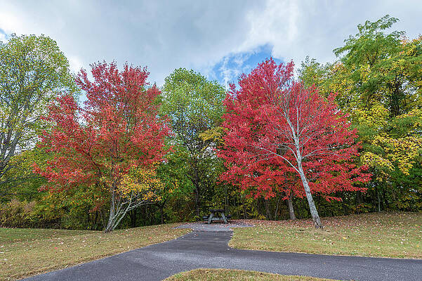 North Carolina Photograph - Changing Of Color by Joe Leone