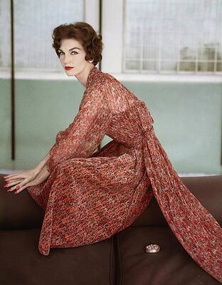 Wall Art featuring the photograph Chiffon And Velveteen Feather Print Dress by Horst P Horst