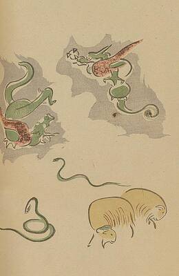 Reptile Painting - Choju Ryakugashiki, Pl.11 by Masayoshi Kitao