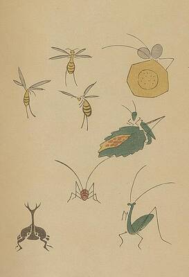 Insects Painting - Choju Ryakugashiki, Pl.35 by Masayoshi Kitao