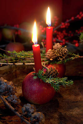 Christmas Arrangement Of Candles In Apples And Larch Branches Print