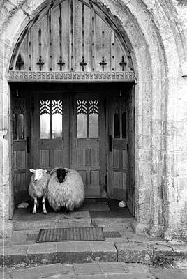 Sheep at a Church Entrance Wall Art