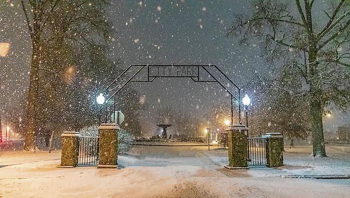 Tree Wall Art featuring the photograph CIty Park Entrance by Jonny D