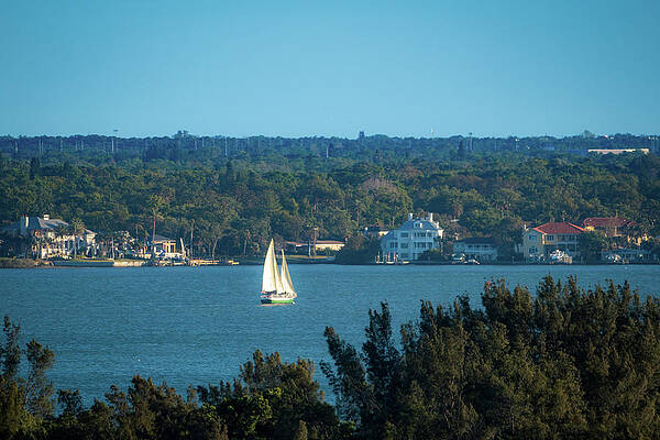 Wall Art featuring the photograph Clearwater Sails by Jeff Phillippi
