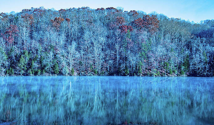 Tennessee Photograph - Cold Winter Blue by Marcy Wielfaert