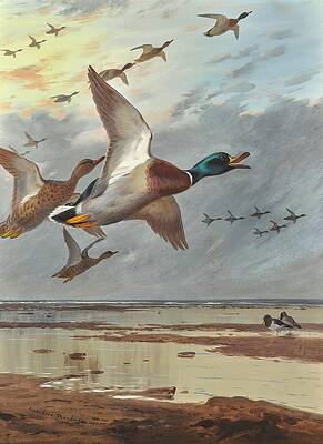 Flock Painting - Coming In From The Sea by Archibald Thorburn