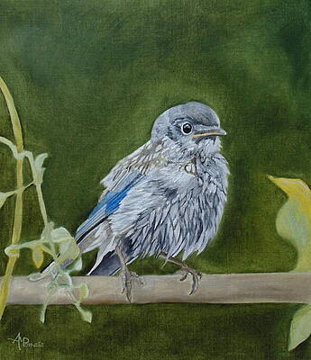 Wildlife Painting - Composed Newcomer by Angeles M Pomata