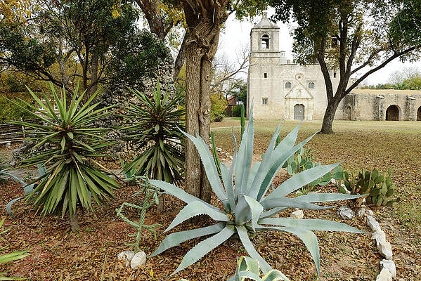 U S Wall Art featuring the digital art Concepcion Mission, San Antonio Tx by Heeb Photos