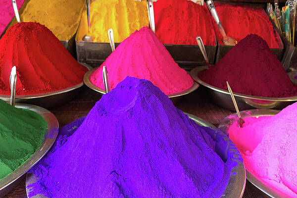 Vibrant Holi Powder Display Wall Art