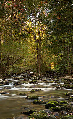 Wall Art featuring the photograph Convergence by Jacalyn Ackerman