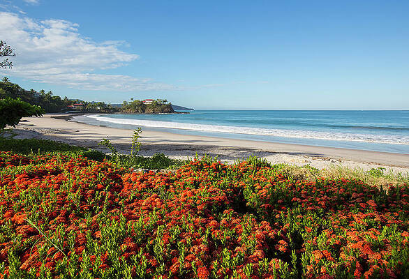 Cloud Wall Art featuring the digital art Costa Rica, Guanacaste, Beach by Stefano Amantini