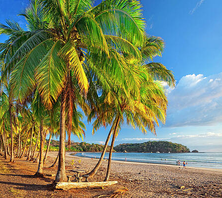 Caribbean Wall Art featuring the digital art Costa Rica, Guanacaste, Caribbean, Pacific Ocean, Penisola Di Nicoya, Playa Carrillo by Pietro Canali