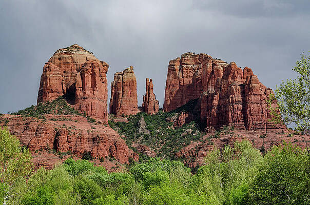 Arizona Photograph - Cottonwoods And Cathedral Rock by Douglas Wielfaert