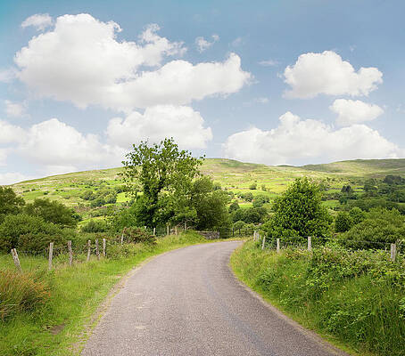 Wall Art featuring the photograph Country Road, County Kerry, Ireland by Ed Freeman