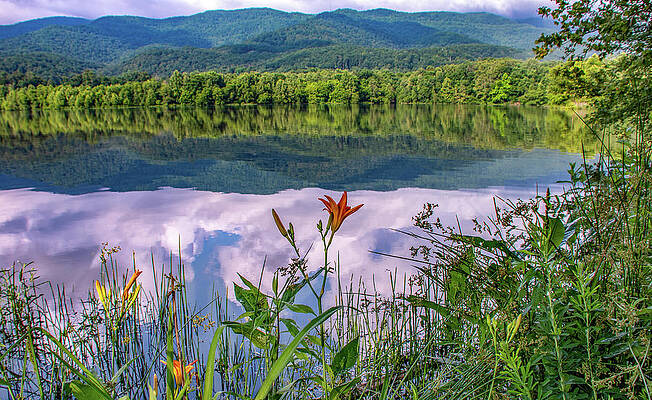 Serene Photograph - Cove Lake Reflections by Marcy Wielfaert