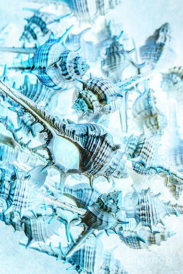 Natural Wall Art featuring the photograph Creative Seas by Jorgo Photography