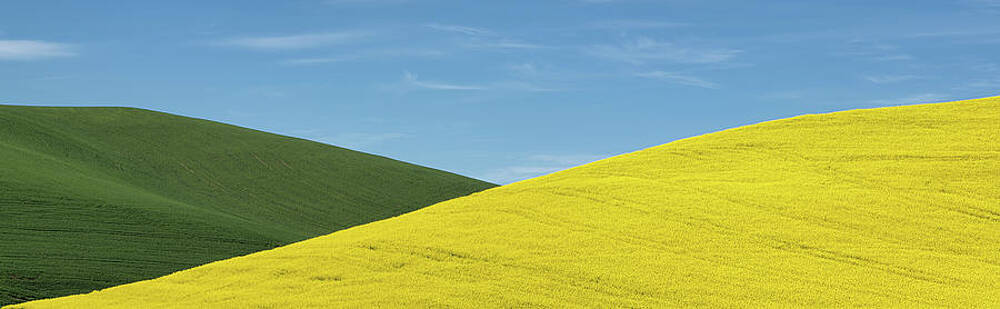 Rolling Hills Under Blue Sky Wall Art