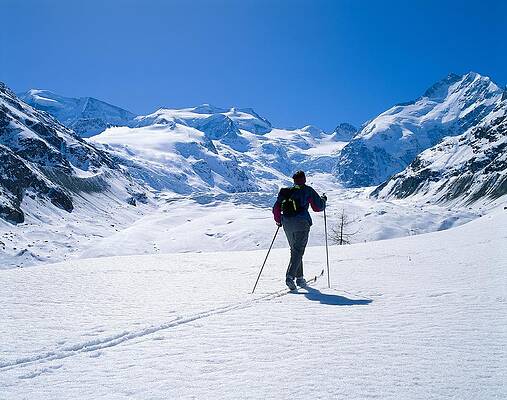 Country Wall Art featuring the digital art Cross Country Skiers by Reinhard Schmid