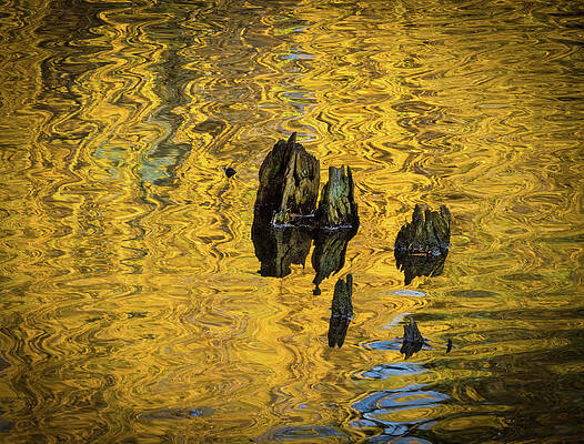 Abstract Photograph - Crystal Springs Abstract by Jean Noren