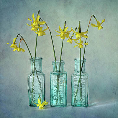 Yellow Flowers in Glass Bottles Wall Art
