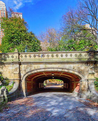 Autumn Wall Art featuring the digital art Dalehead Arch, Central Park, Nyc by Claudia Uripos