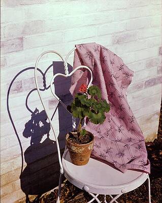 Furniture Photograph - Dan River Pink Chambray by Horst P. Horst