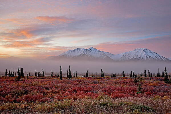 Majestic Mountain Sunrise Wall Art