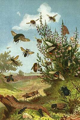Insects in a Vibrant Landscape Painting