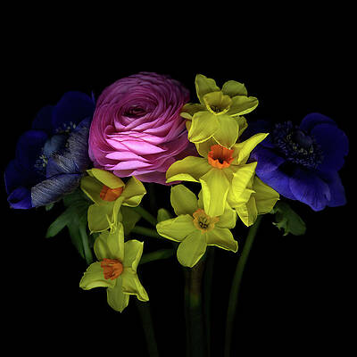 Wall Art featuring the photograph Different Flower In Spring by Photograph By Magda Indigo