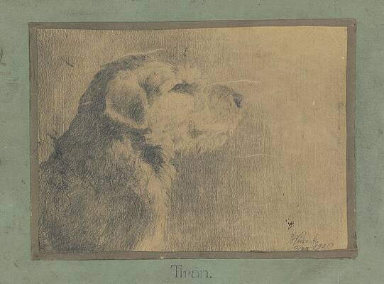 Dog Painting - Dog Tiran by Arnold Peter Weisz-kubincan