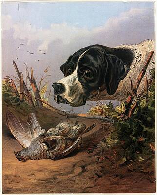Dog Painting - Dogs Head by Arthur Fitzwilliam Tait