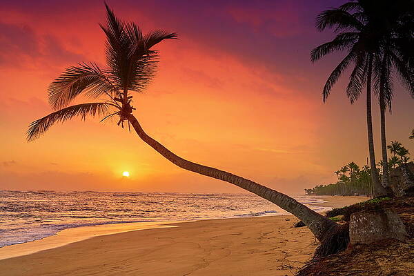 Caribbean Wall Art featuring the digital art Dominican Republic, La Altagracia, Punta Cana, Punta Cana Beach At Sunrise by Jan Wlodarczyk