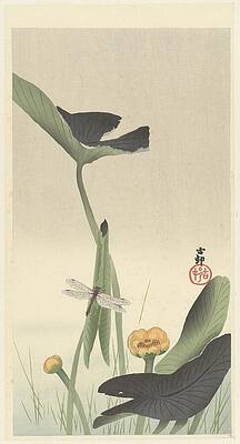 Insects Painting - Dragonfly And Lotus Flower by Ohara Koson