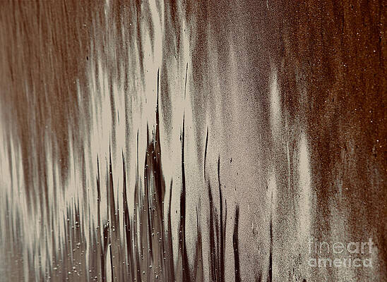 Wall Art featuring the photograph Dream Weaver In The Polihale Sand by Debra Banks