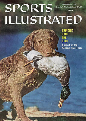 Sports Illustrated Dog Covers for Sale