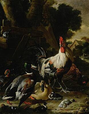 Chicken Painting - Ducks, Hens And Other Fowl In A Yard by Melchior D'hondecoeter