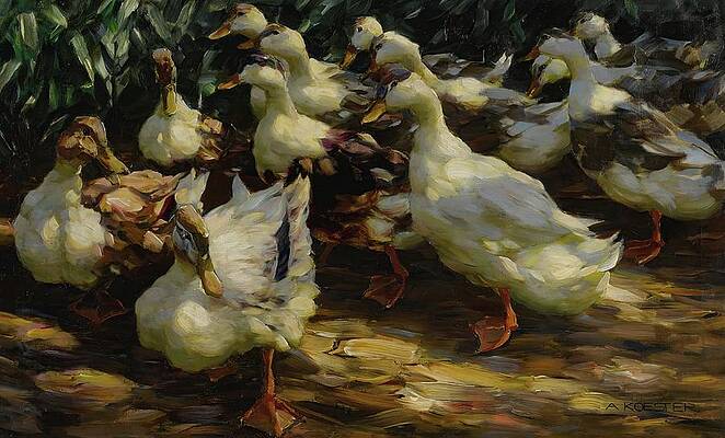 Flock Painting - Ducks In Sunlight by Alexander Koester