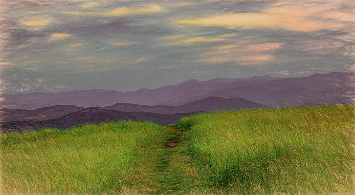 Tennessee Photograph - Dusk Along The Appalachian Trail by Marcy Wielfaert