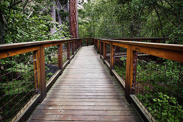 Nature Photograph - Eagle Falls Walkway by American Landscapes