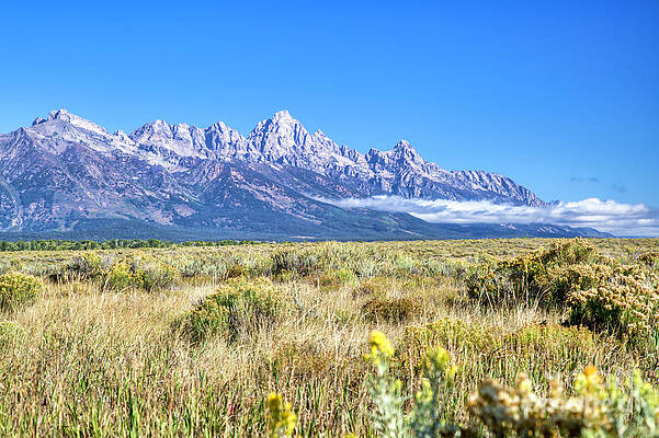 Summer Photograph - Early Morning In The Grand Tetons by Bruce Block